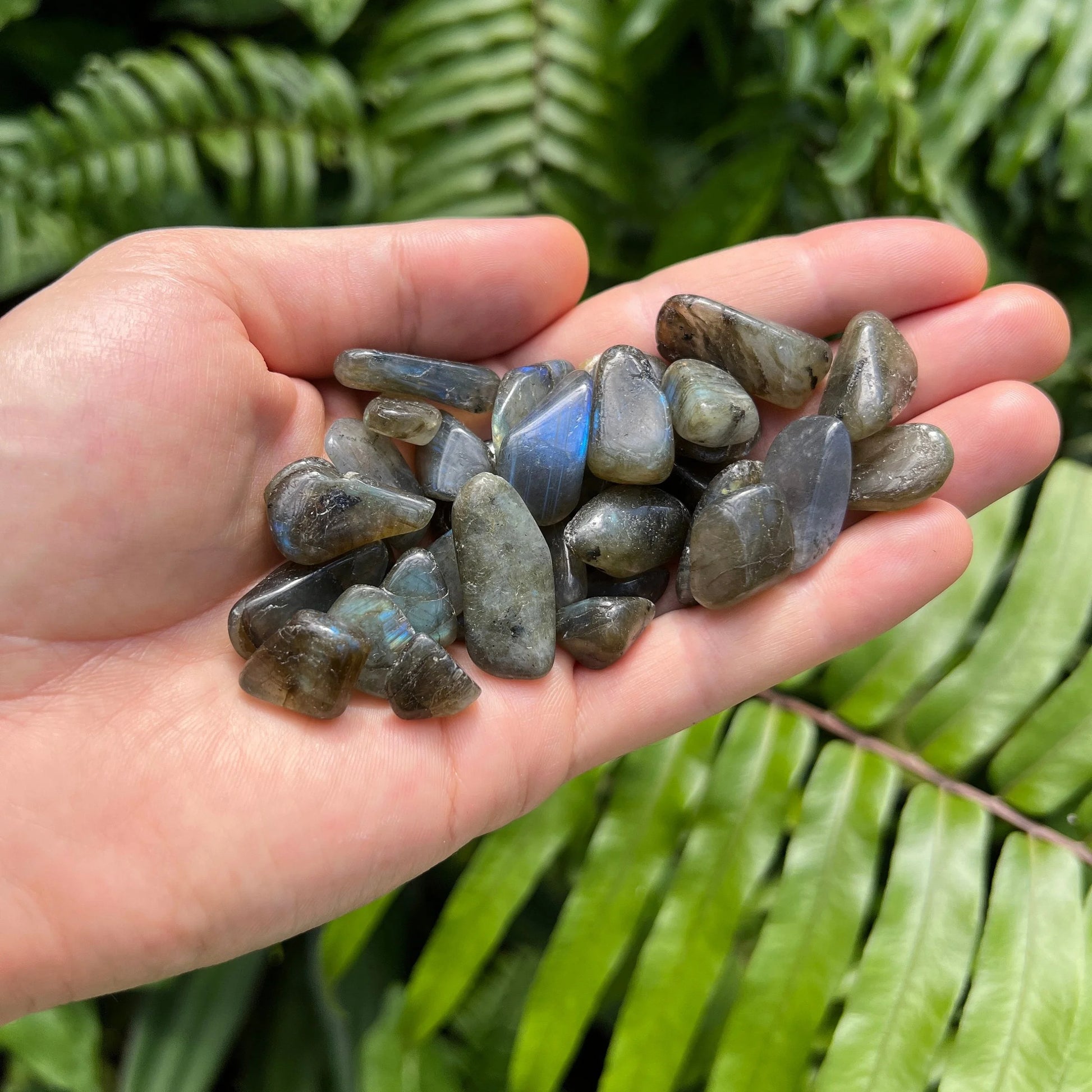 Full profile of Grade AA Labradorite tumbled stone ready to ship from Beyond Bohemian