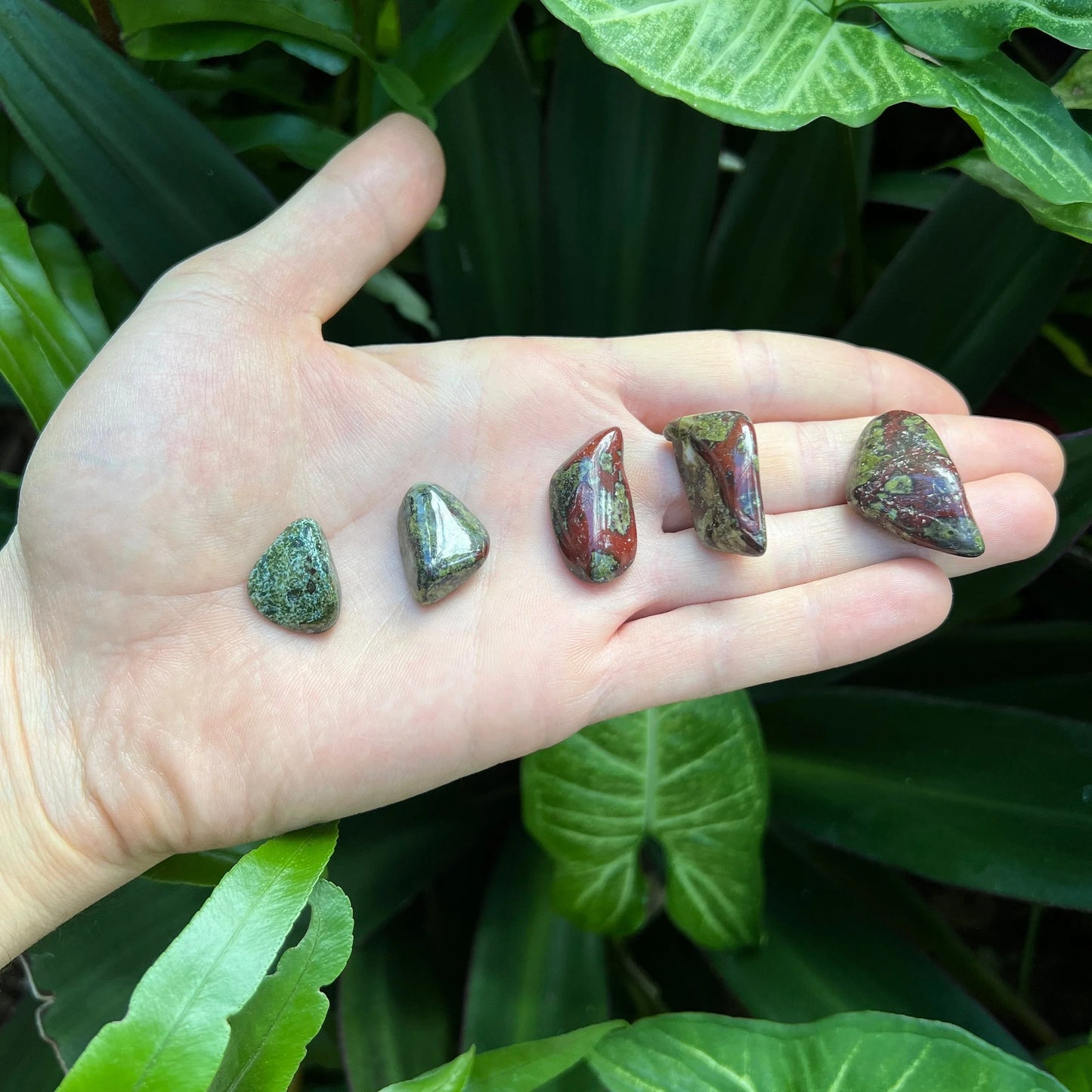 In-hand view of a single Dragon Bloodstone tumbled stone hand-selected from Limpopo, South Africa.