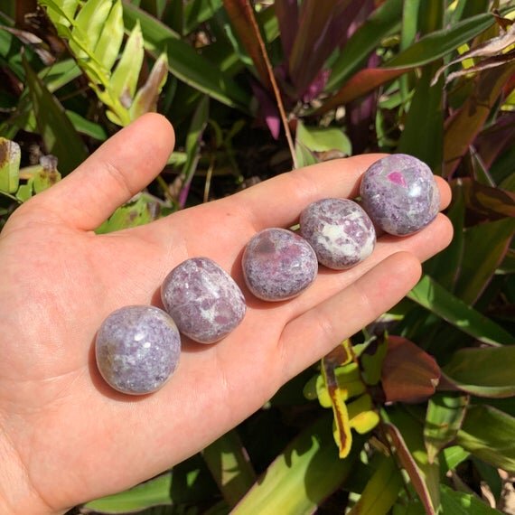 Full profile of Grade AA Lepidolite tumbled stone ready to ship from Beyond Bohemian