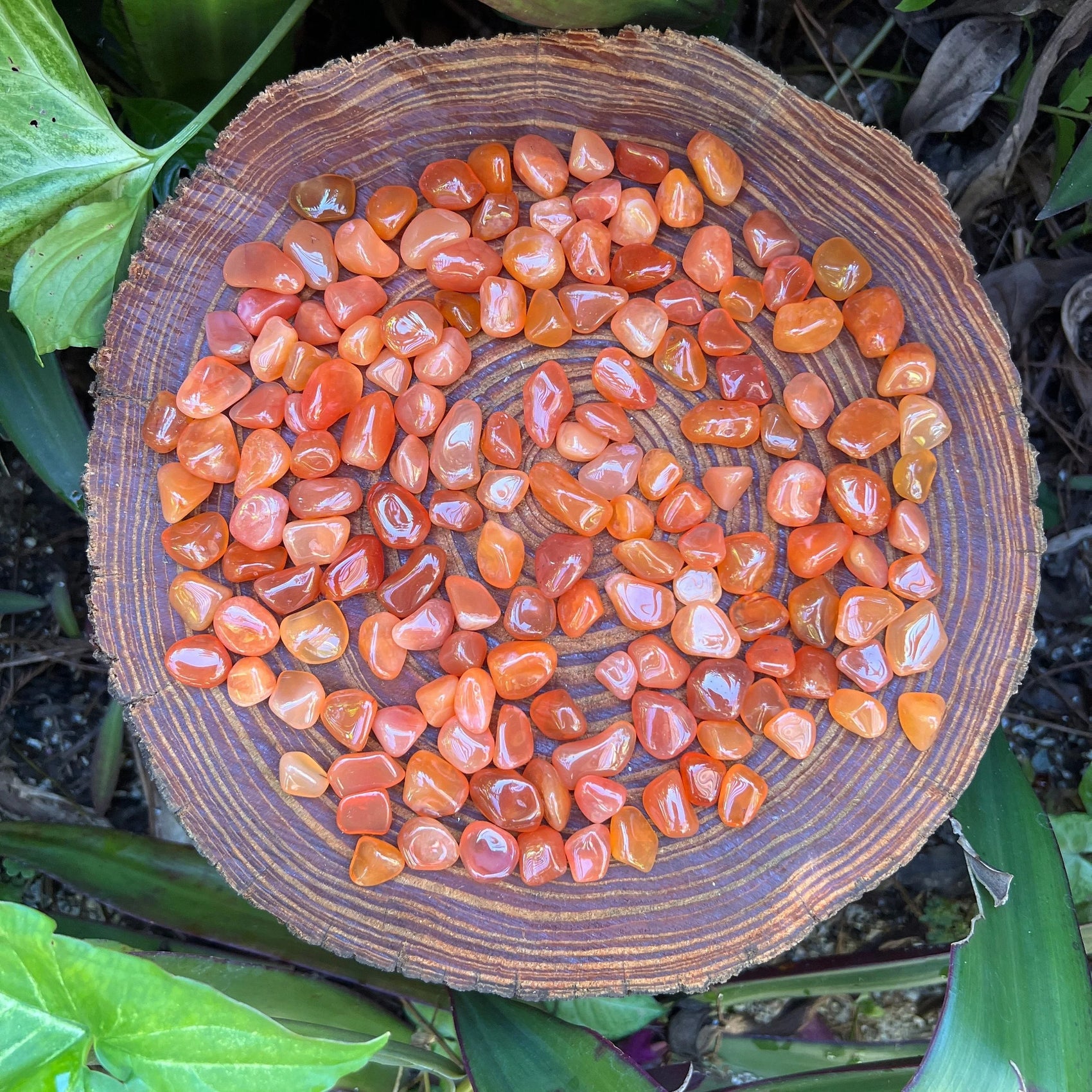 Holding a Carnelian tumbled stone, captured in soft, even lighting.