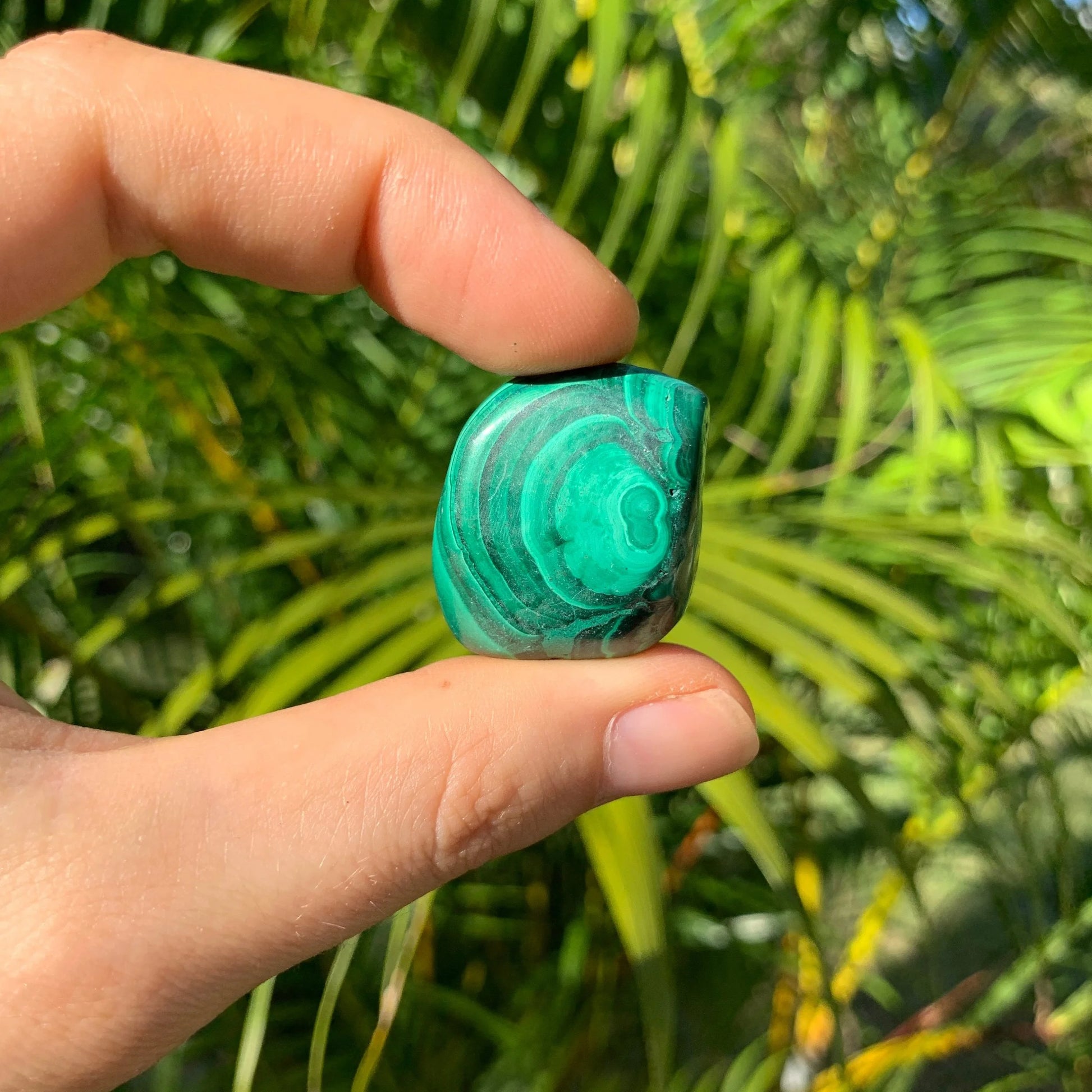 Full profile of Grade AA Malachite tumbled stone ready to ship from Beyond Bohemian