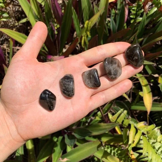 Quiet study of Smoky Quartz tumbled stone, with form visible in context.
