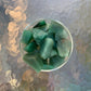 Set against a soft backdrop is an Aventurine raw crystal, linked to Love, with depth visible across the surface.