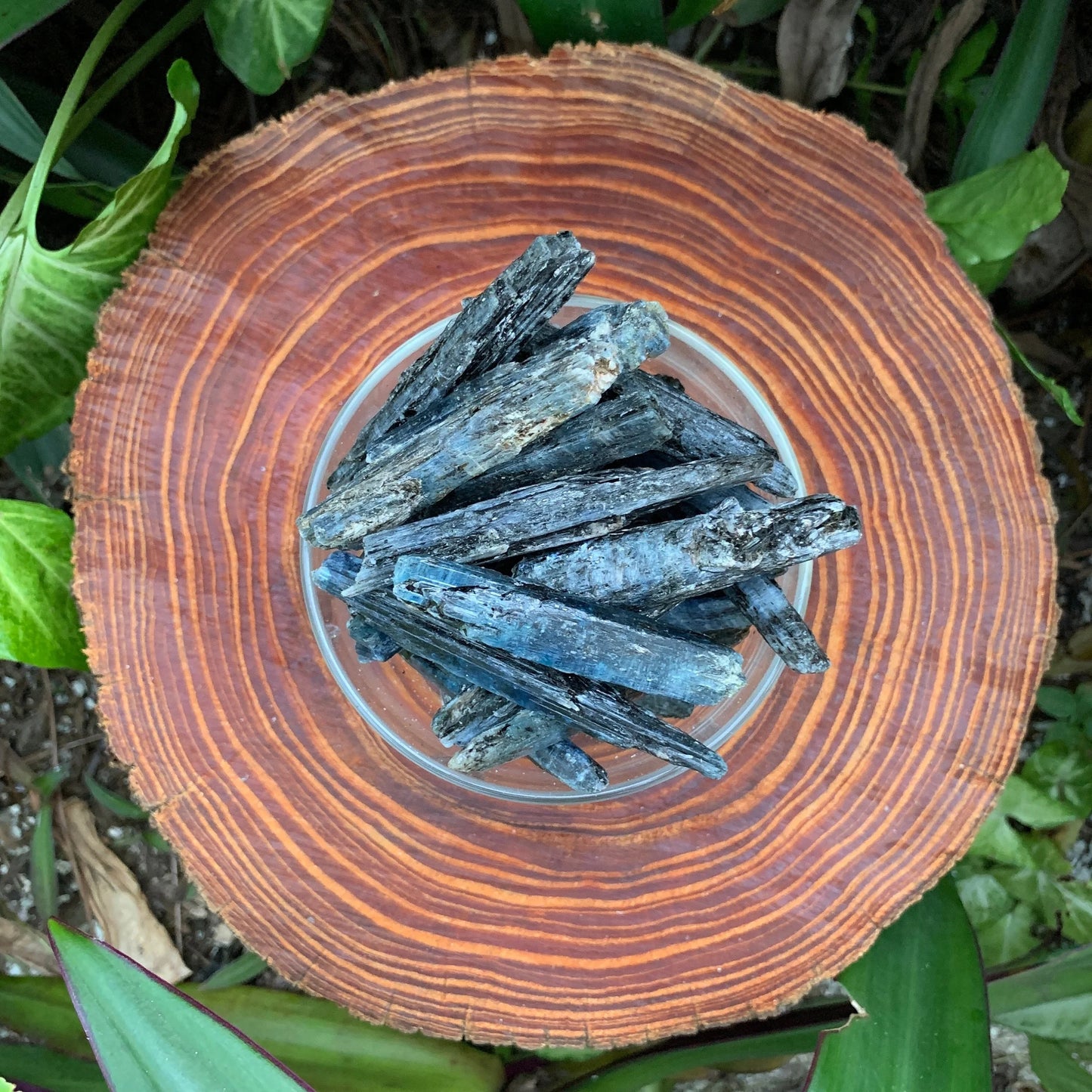 Grade aa blue kyanite raw held in hand for size reference