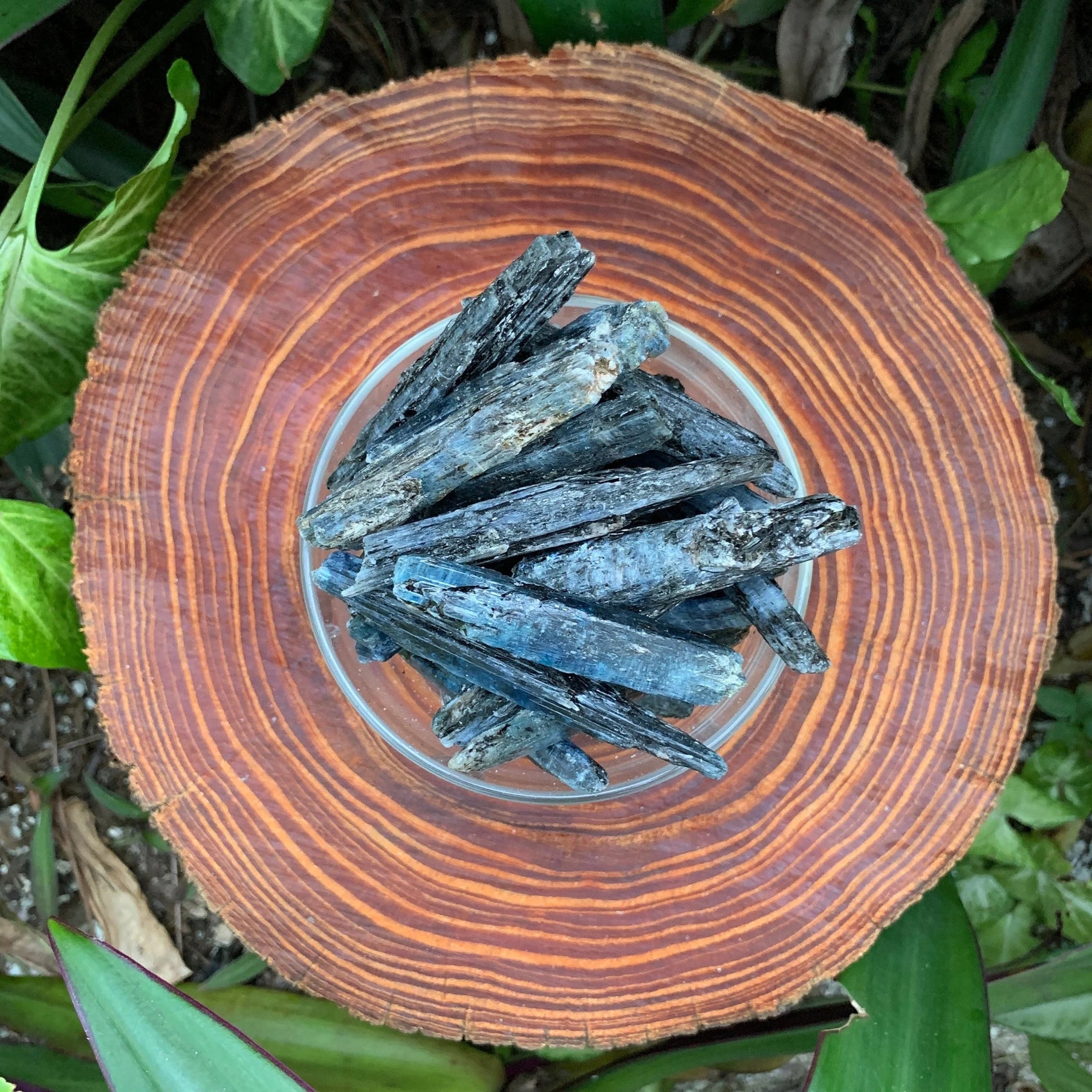 Grade aa blue kyanite raw held in hand for size reference