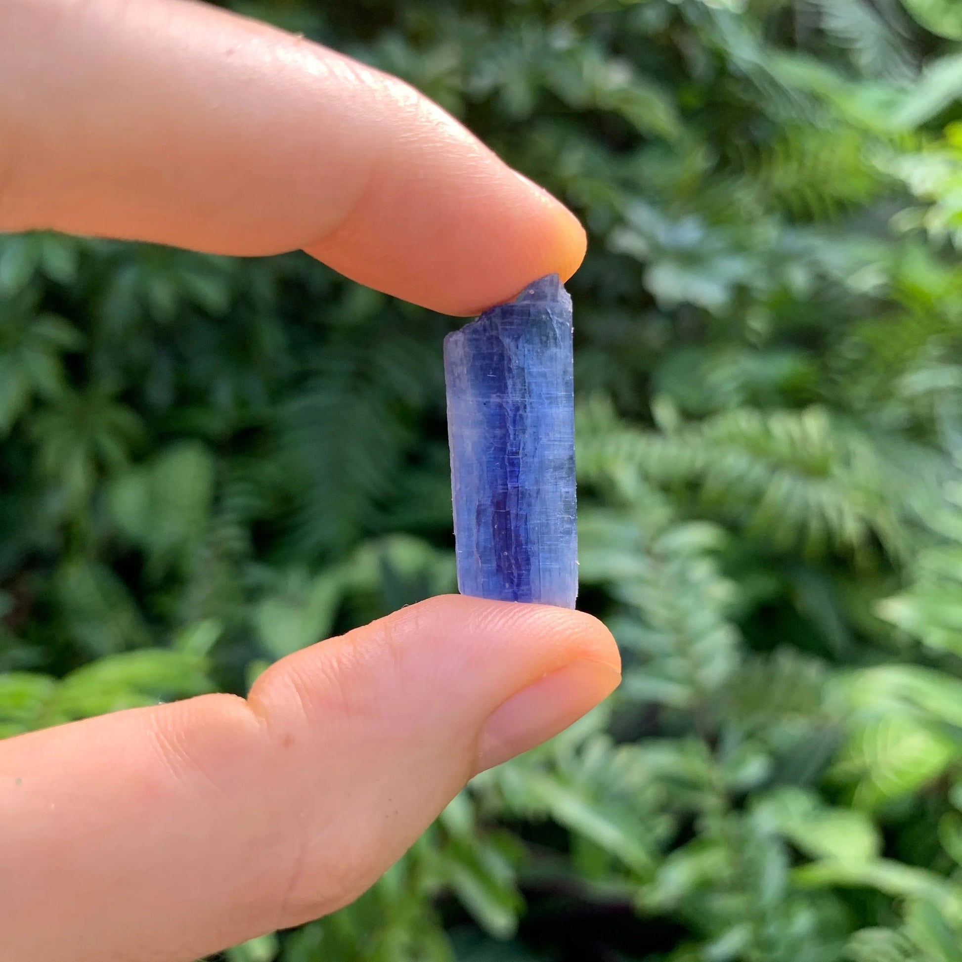 Detail shot of Grade AA Blue Kyanite raw under natural light