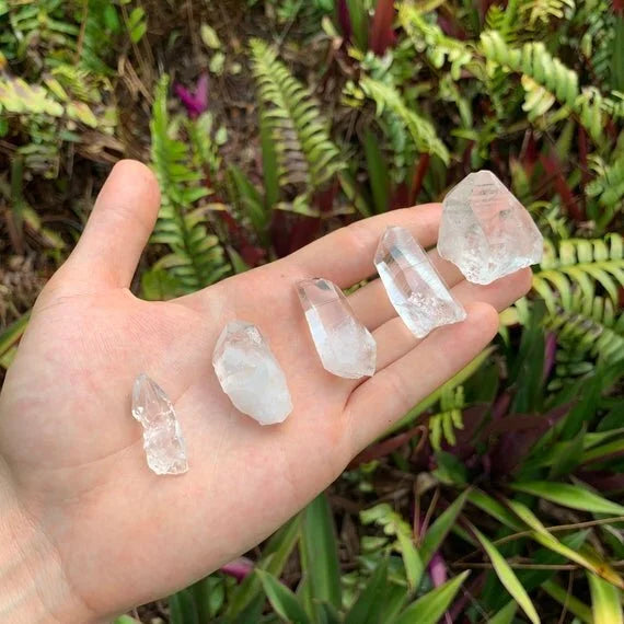 Full profile of Grade AA Clear Quartz point ready to ship from Beyond Bohemian