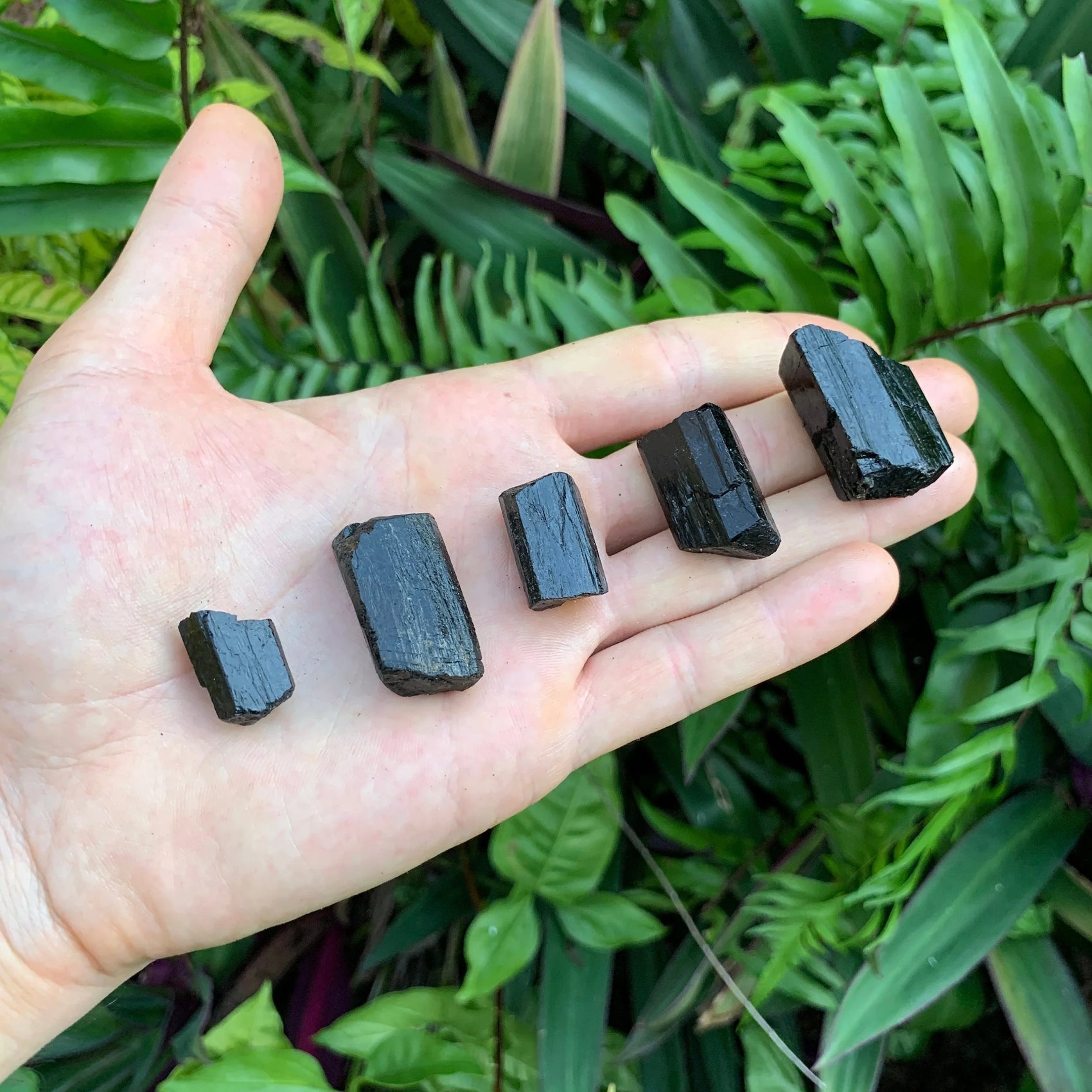 Full profile of Grade AA Black Tourmaline raw ready to ship from Beyond Bohemian