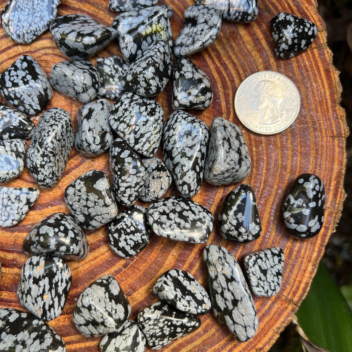 Edge view of Snowflake Obsidian tumbled stone, United States-sourced, showing earthy tone.