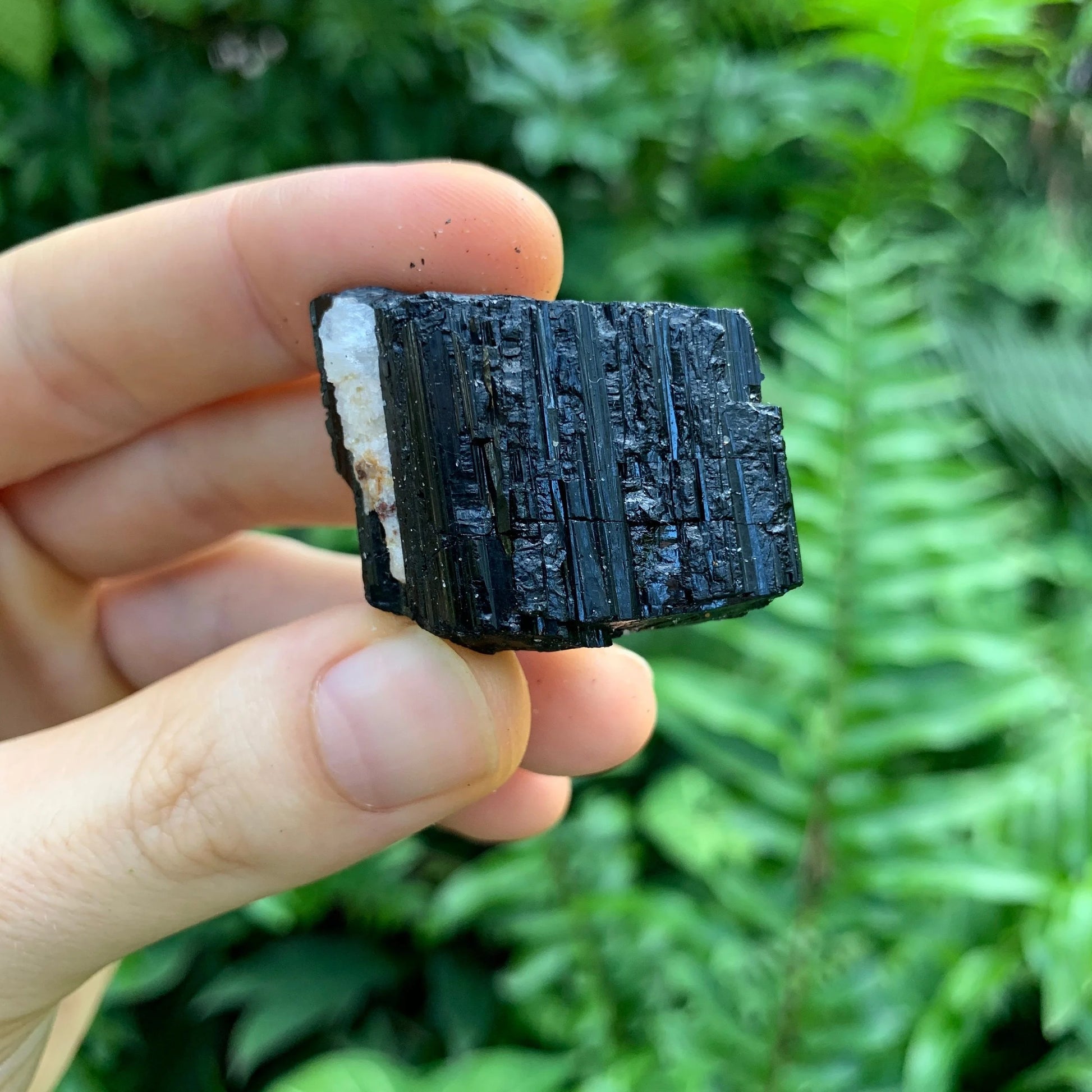 In-hand view of one Black Tourmaline raw stone for scale, from Minas Gerais, Brazil.