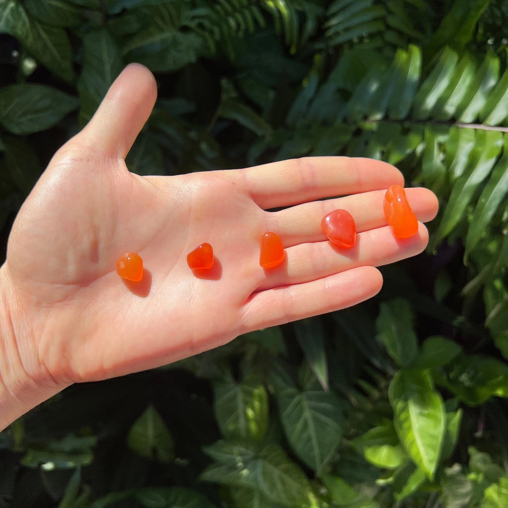 Full profile of Grade AA Carnelian tumbled stone ready to ship from Beyond Bohemian