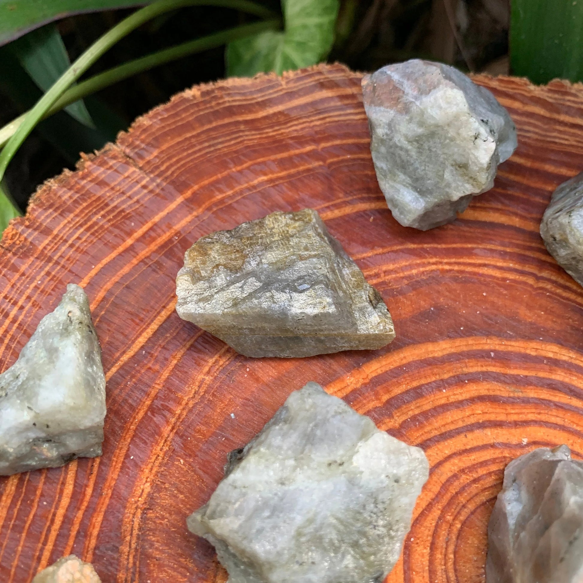 Detail shot of Grade A Labradorite raw under natural light