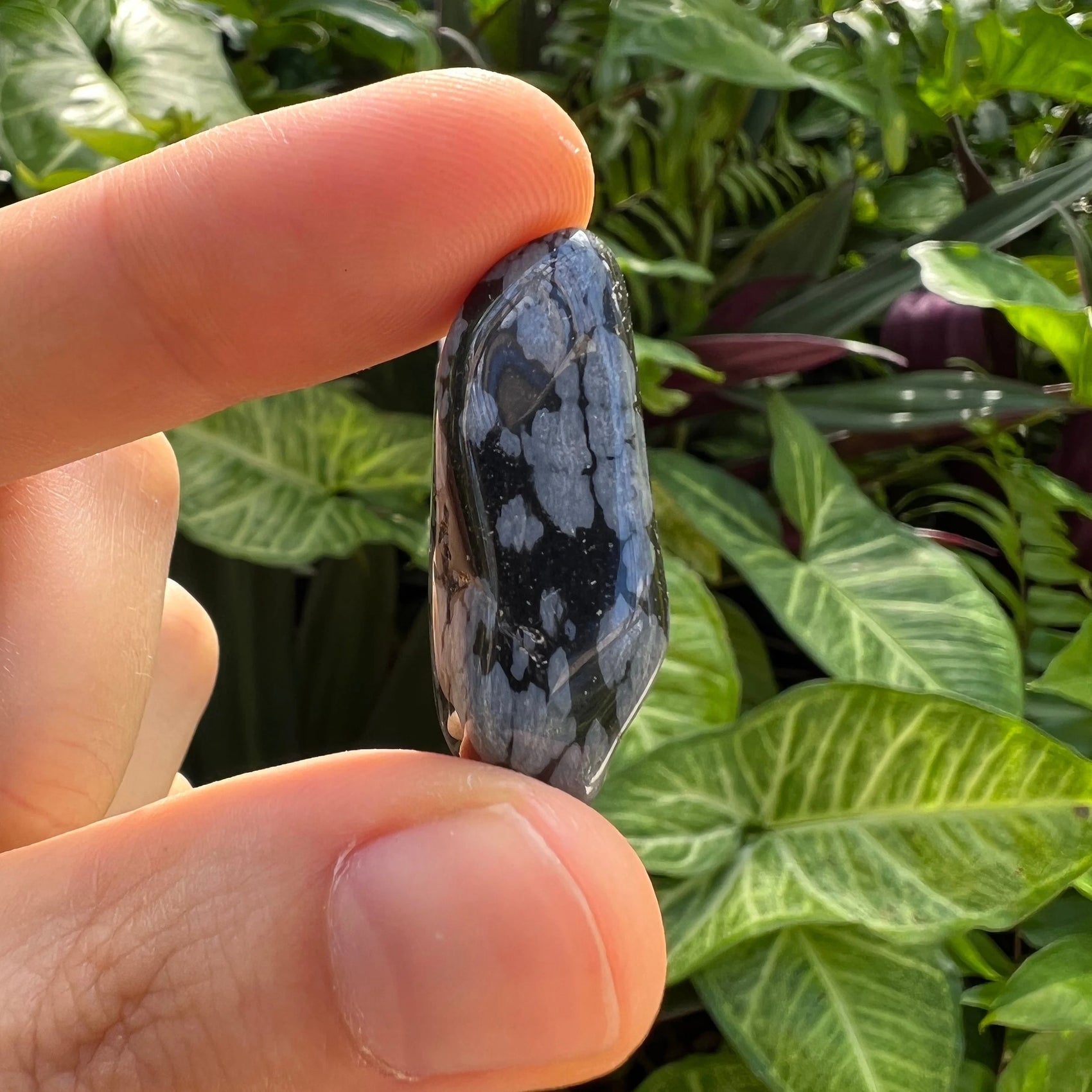 Rear view of black Snowflake Obsidian tumbled stone, kept near for Grounding and Emotional Healing.