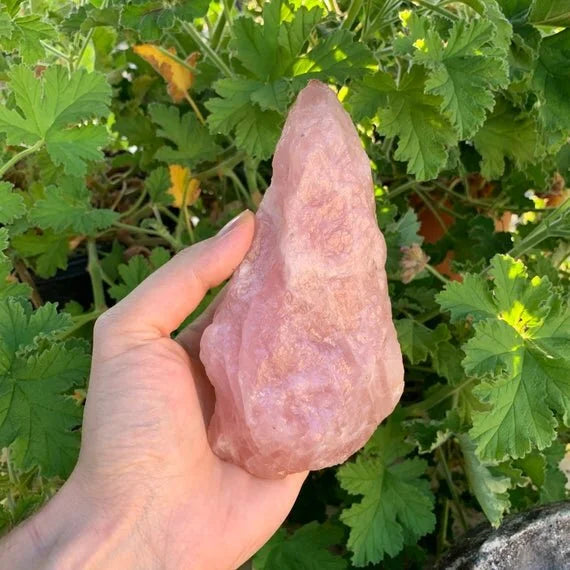 Detail shot of Grade AAA Rose Quartz raw under natural light