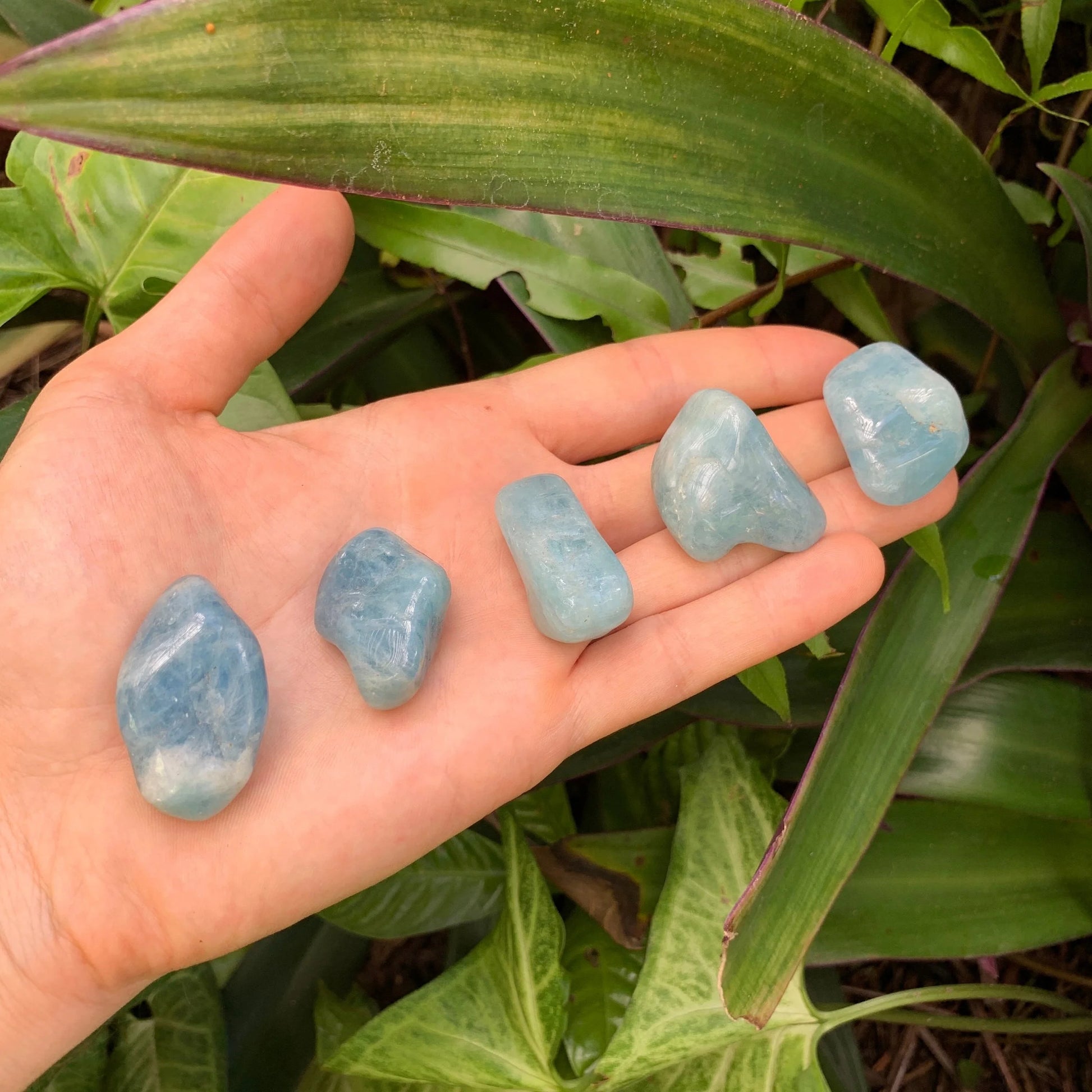 Full profile of Grade AAA Aquamarine tumbled stone ready to ship from Beyond Bohemian