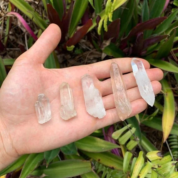 Full profile of Grade A Clear Quartz point ready to ship from Beyond Bohemian