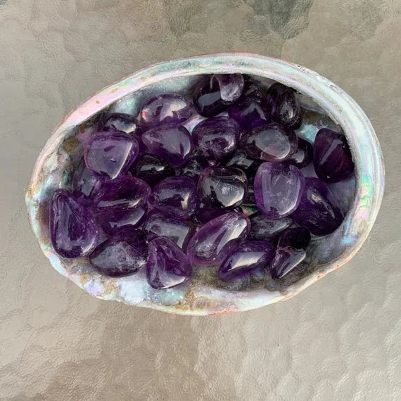 Scale reference of one Amethyst tumbled stone for scale, from Rio Grande do Sul, Brazil.