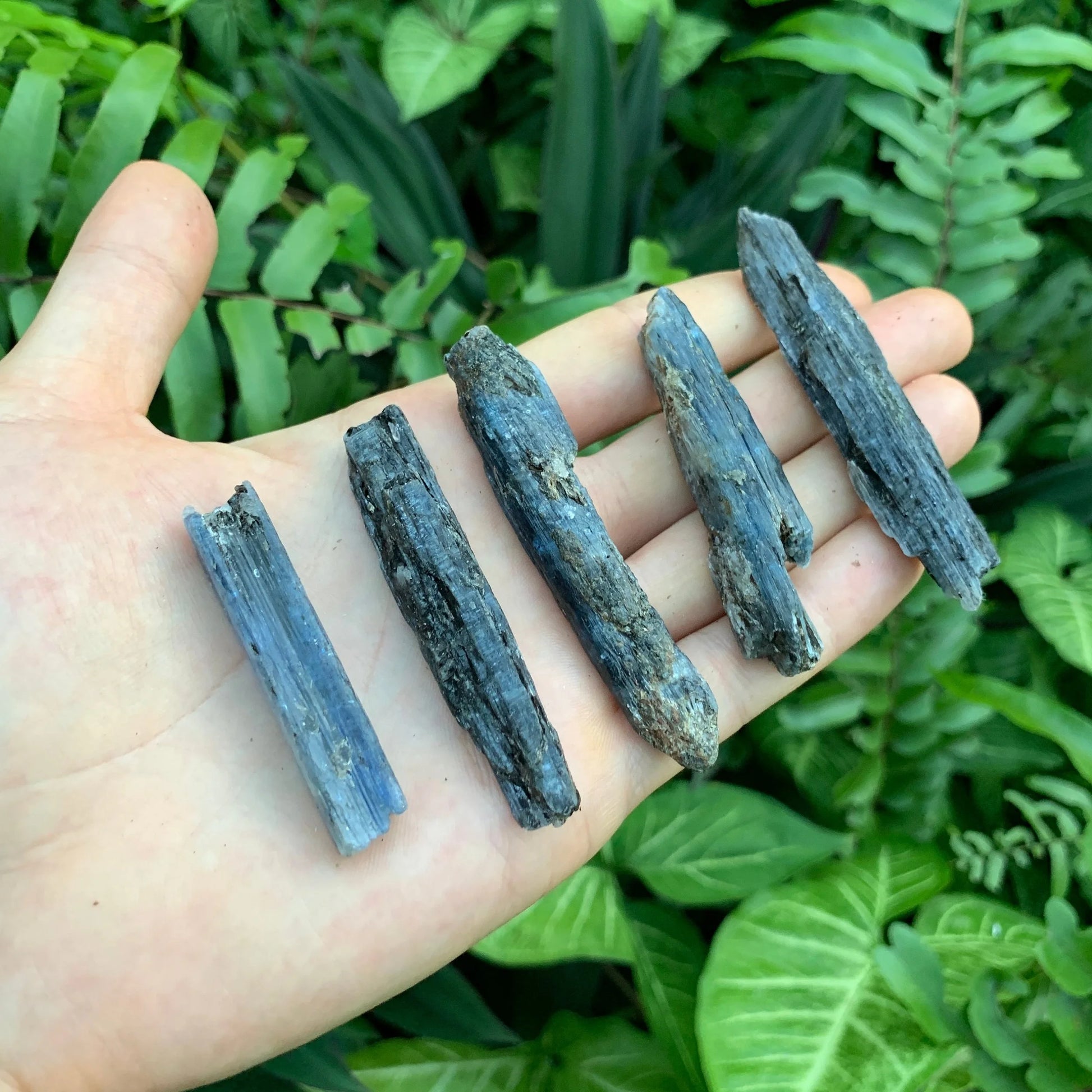 Full profile of Grade AA Blue Kyanite raw ready to ship from Beyond Bohemian
