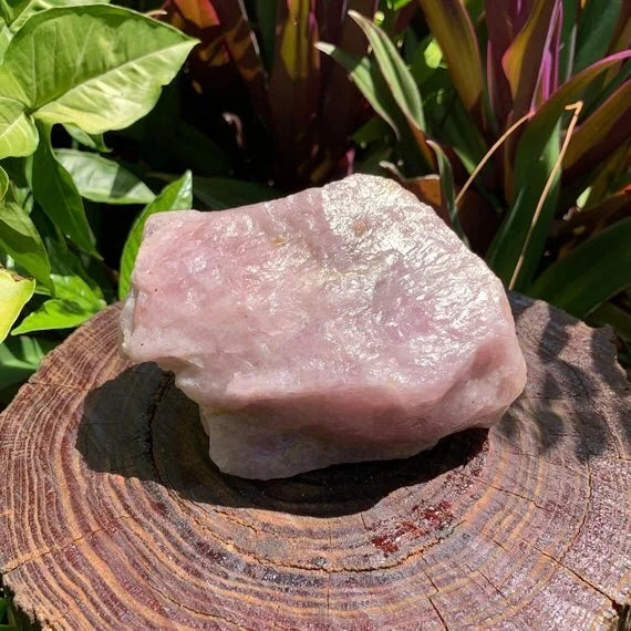 In-hand view of a Rose Quartz specimen held against natural backdrop.