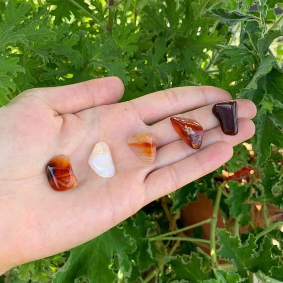 Full profile of Grade AA Carnelian tumbled stone ready to ship from Beyond Bohemian