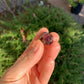 Back view of Grade AA Garnet raw showing natural surface