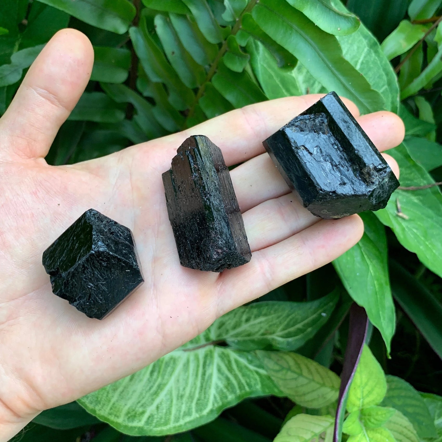 Full profile of Grade AA Black Tourmaline raw ready to ship from Beyond Bohemian