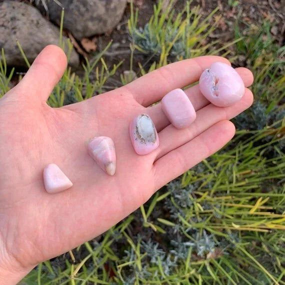 Daylight view of one Pink Opal tumbled stone for scale, sourced from Ica, Peru.