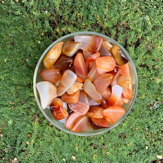 Scale reference of a Carnelian tumbled stone linked to Energy, from Madagascar.
