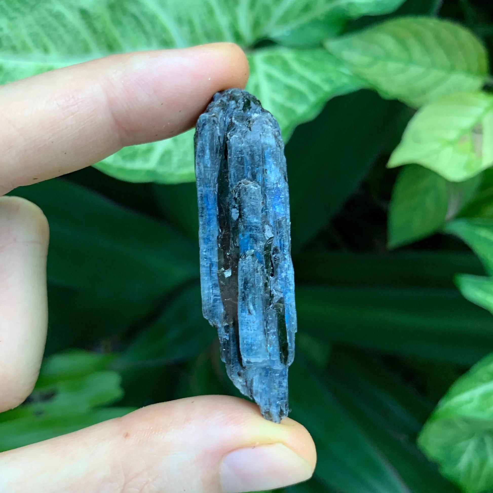 Back view of Grade AA Blue Kyanite raw showing natural surface