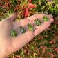 Detail shot of Grade AA Peridot tumbled stone under natural light