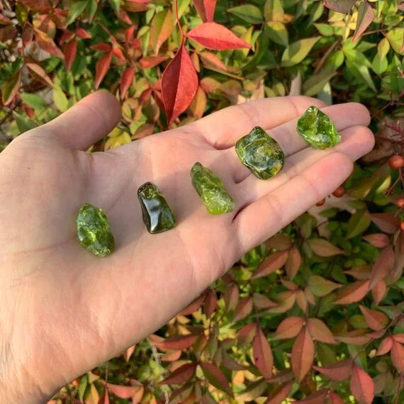 Detail shot of Grade AA Peridot tumbled stone under natural light
