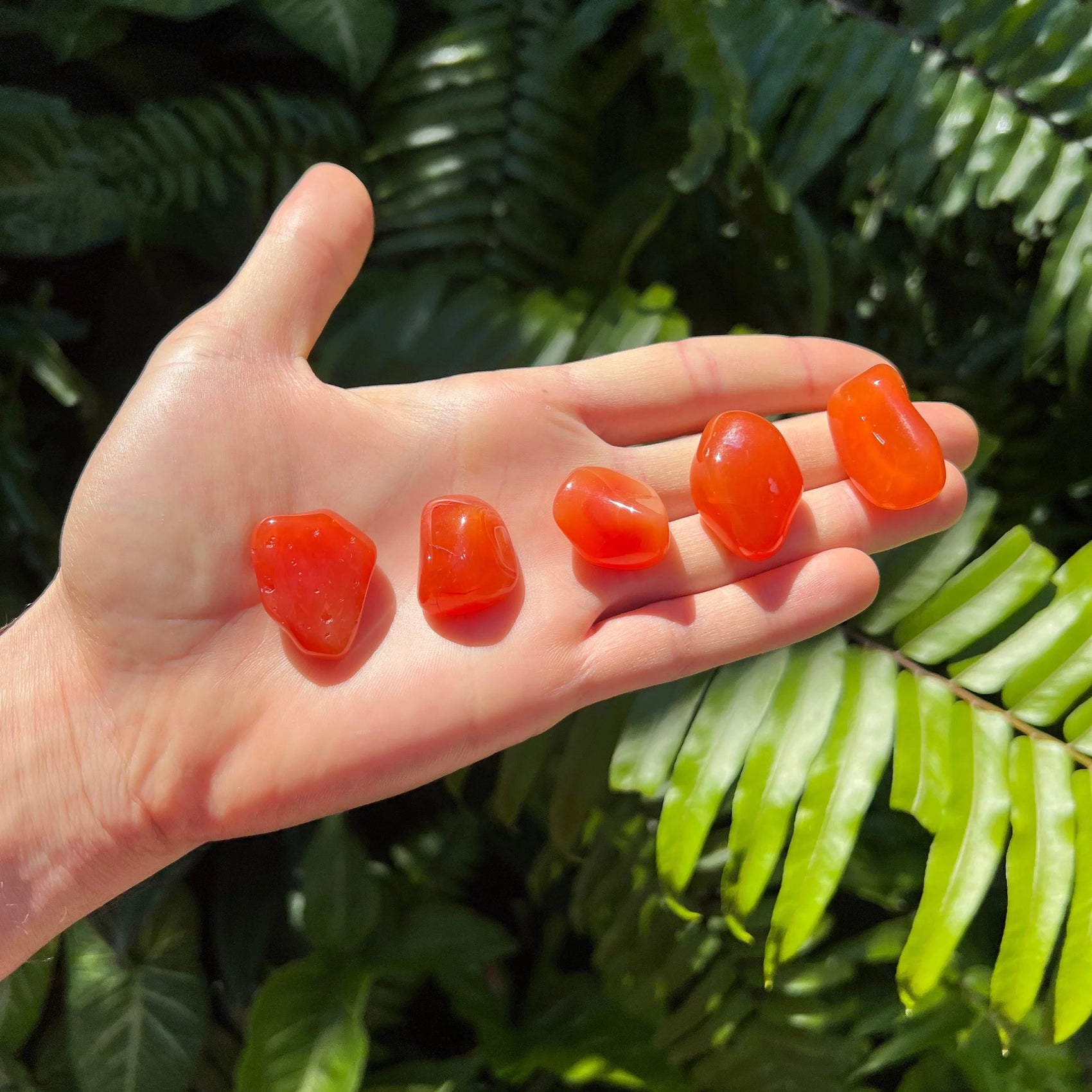 Full profile of Grade AA Carnelian tumbled stone ready to ship from Beyond Bohemian