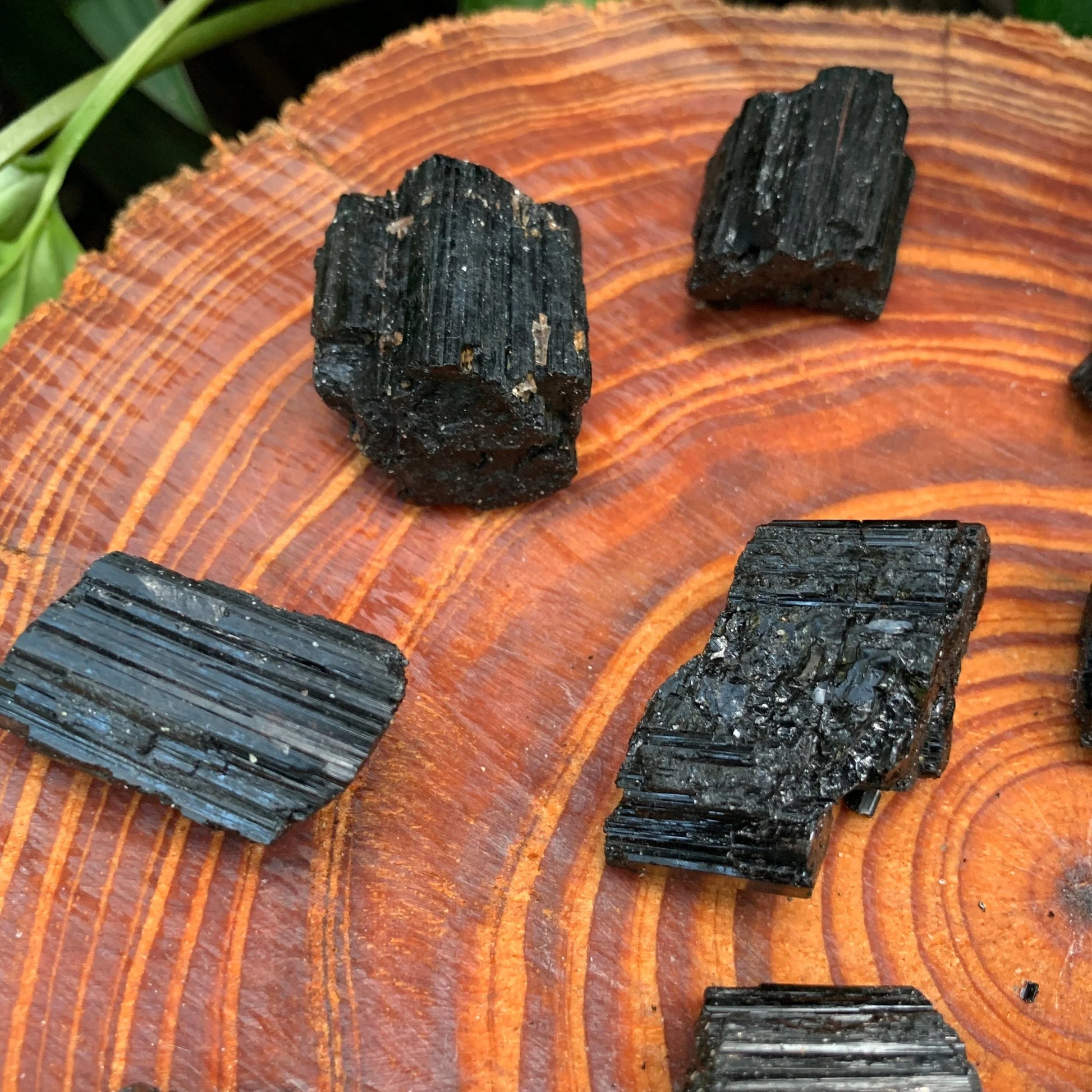 Back view of Grade AA Black Tourmaline raw showing natural surface