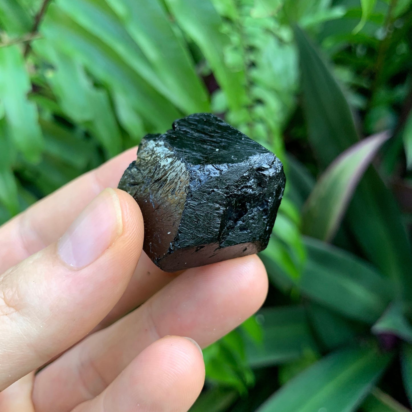 Full profile of Grade AA Black Tourmaline raw ready to ship from Beyond Bohemian