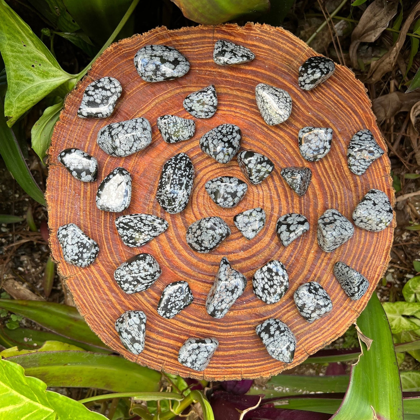 Close-up of Snowflake Obsidian tumbled stone, soothing wellness stone for Emotional Healing