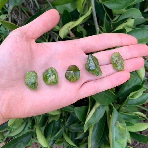 Back view of Grade AA Peridot tumbled stone showing natural surface