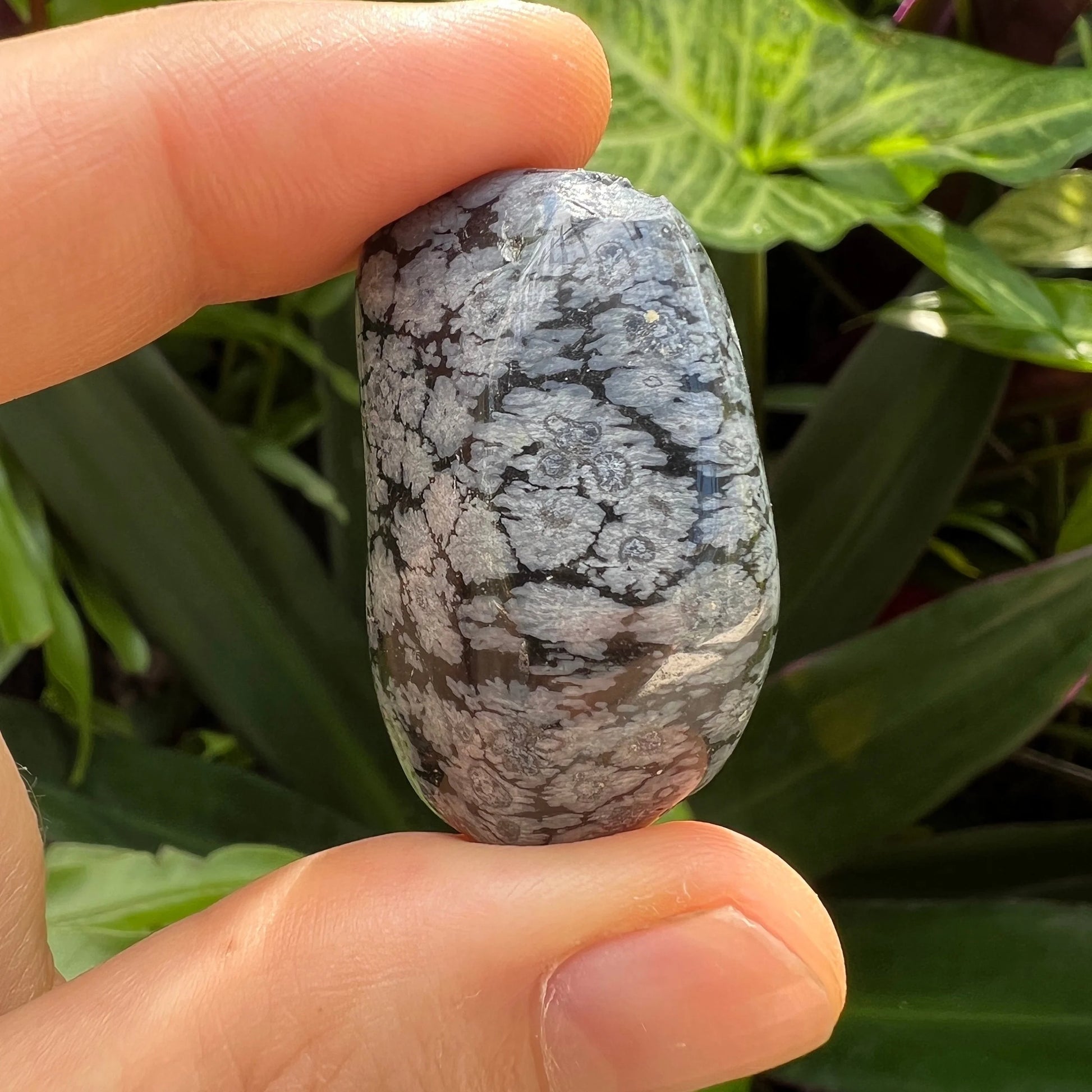 Top view of Grade AA Snowflake Obsidian tumbled stone, showing color depth, sourced from United States.