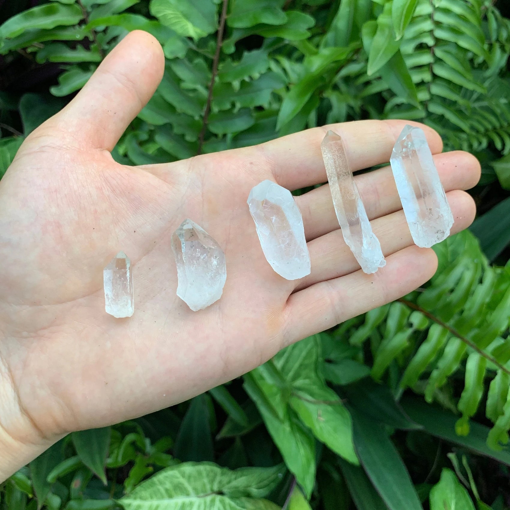 Full profile of Grade AA Clear Quartz point ready to ship from Beyond Bohemian