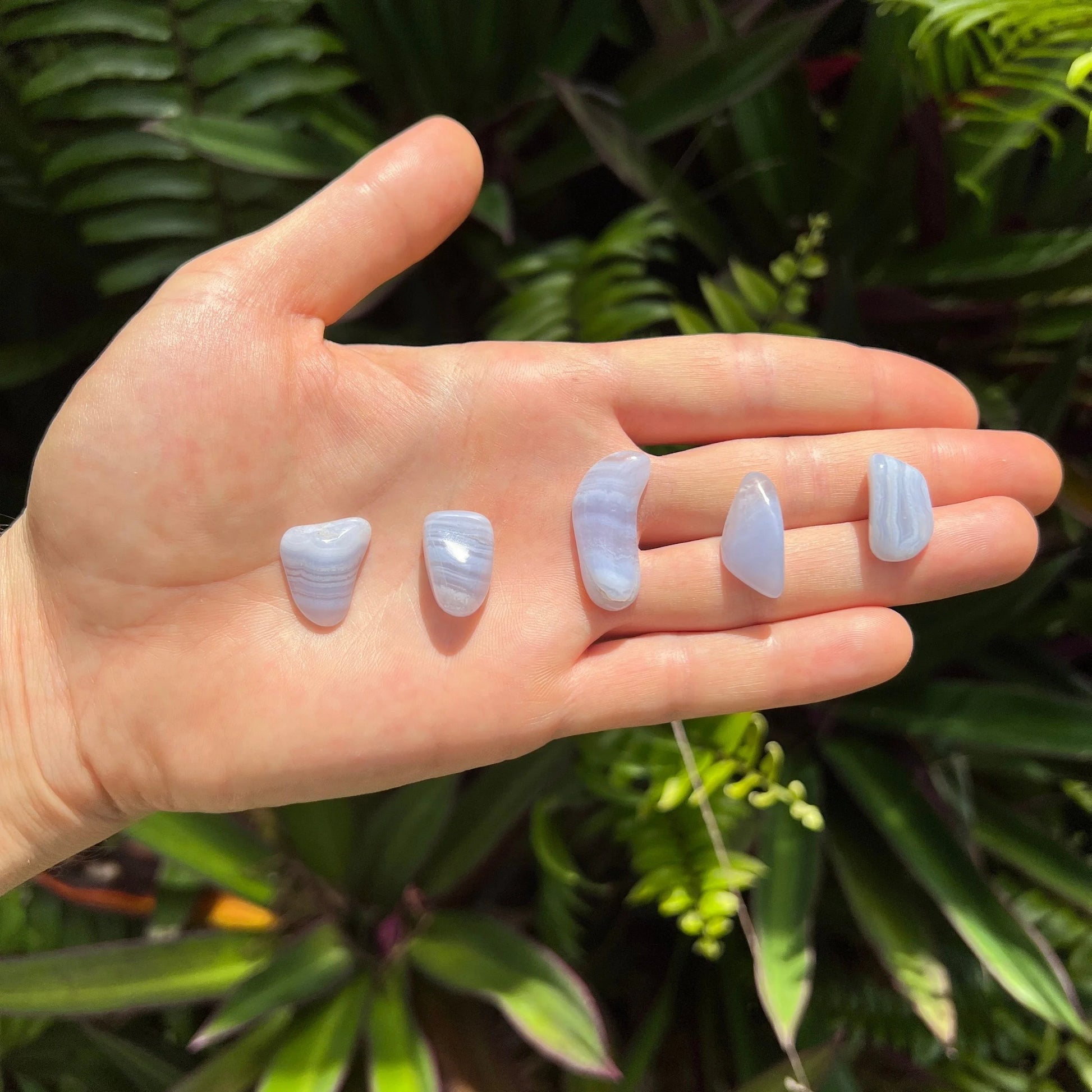 Full profile of Grade AA Blue Lace Agate tumbled stone ready to ship from Beyond Bohemian