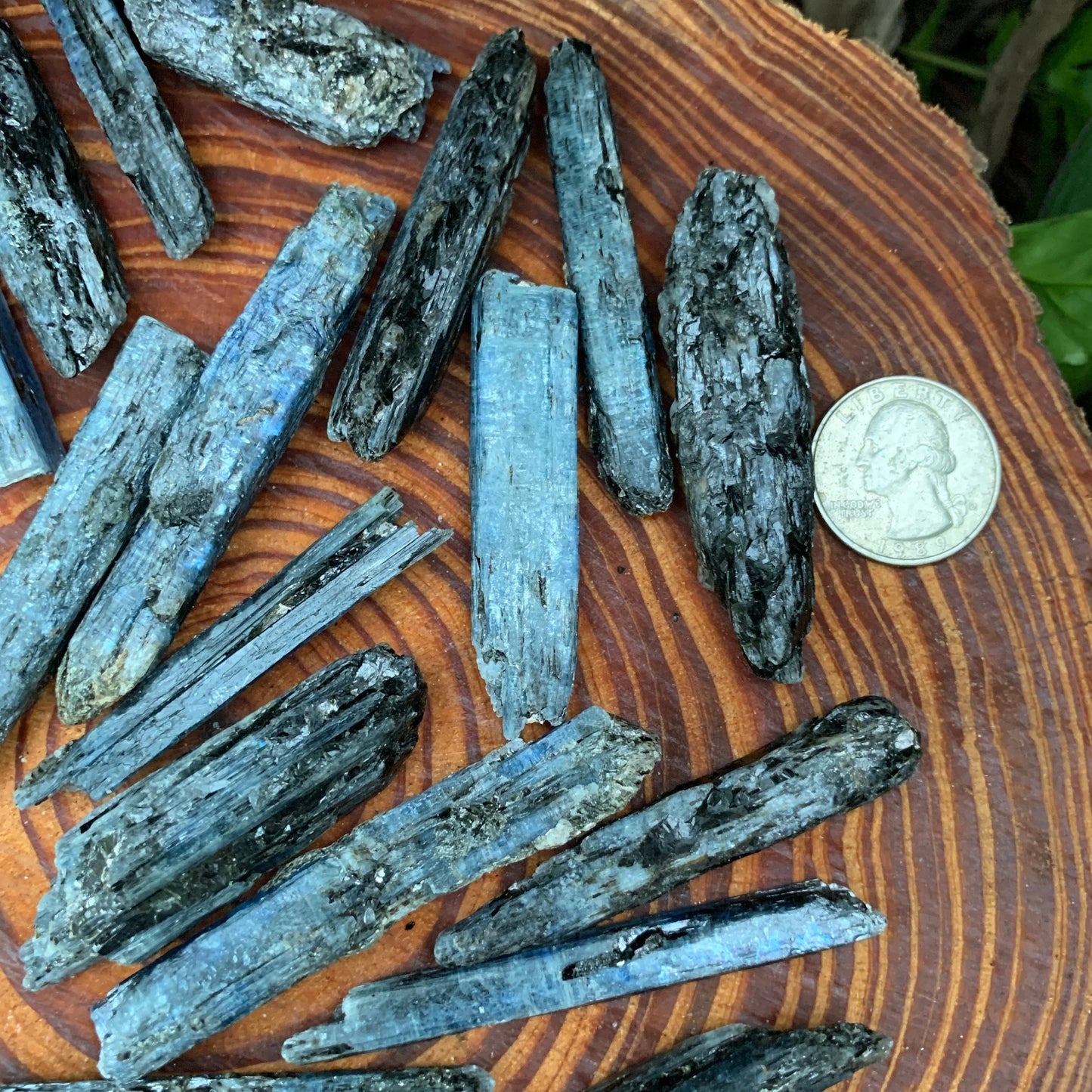 Full profile of Grade AA Blue Kyanite raw ready to ship from Beyond Bohemian