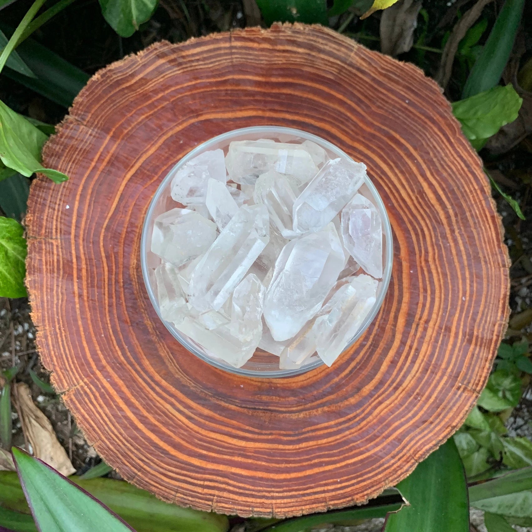 Full profile of Grade AA Clear Quartz point ready to ship from Beyond Bohemian