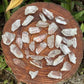Open-palm view of Clear Quartz raw crystal, associated with Cleansing, showing the piece in repose.