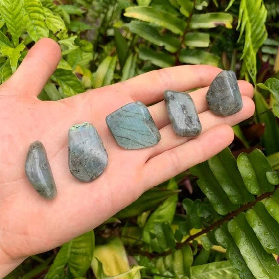 Full profile of Grade AA Labradorite tumbled stone ready to ship from Beyond Bohemian