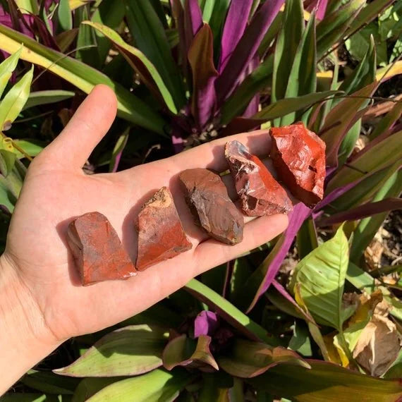 Detail shot of Grade AA Red Jasper raw under natural light