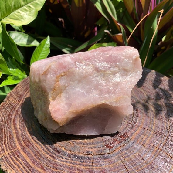 Back view of Grade AA Rose Quartz specimen showing natural surface