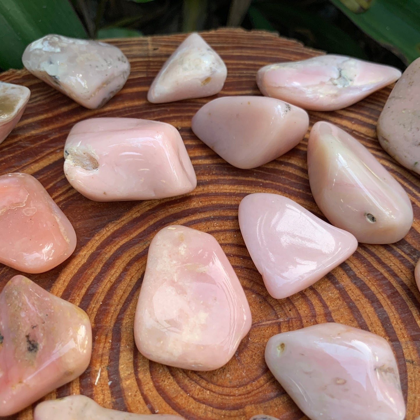 Full profile of Grade A Pink Opal tumbled stone ready to ship from Beyond Bohemian