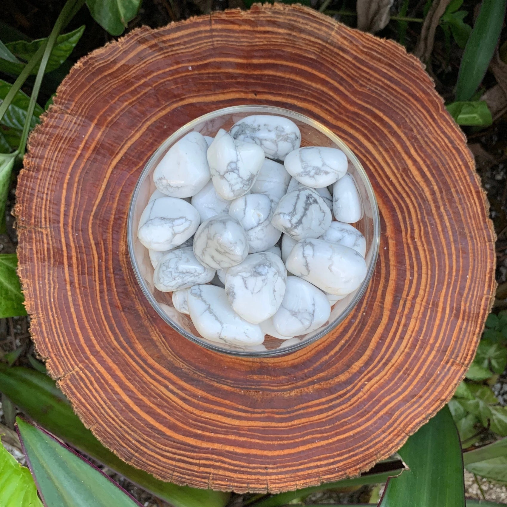 Full profile of Grade AA Howlite tumbled stone ready to ship from Beyond Bohemian