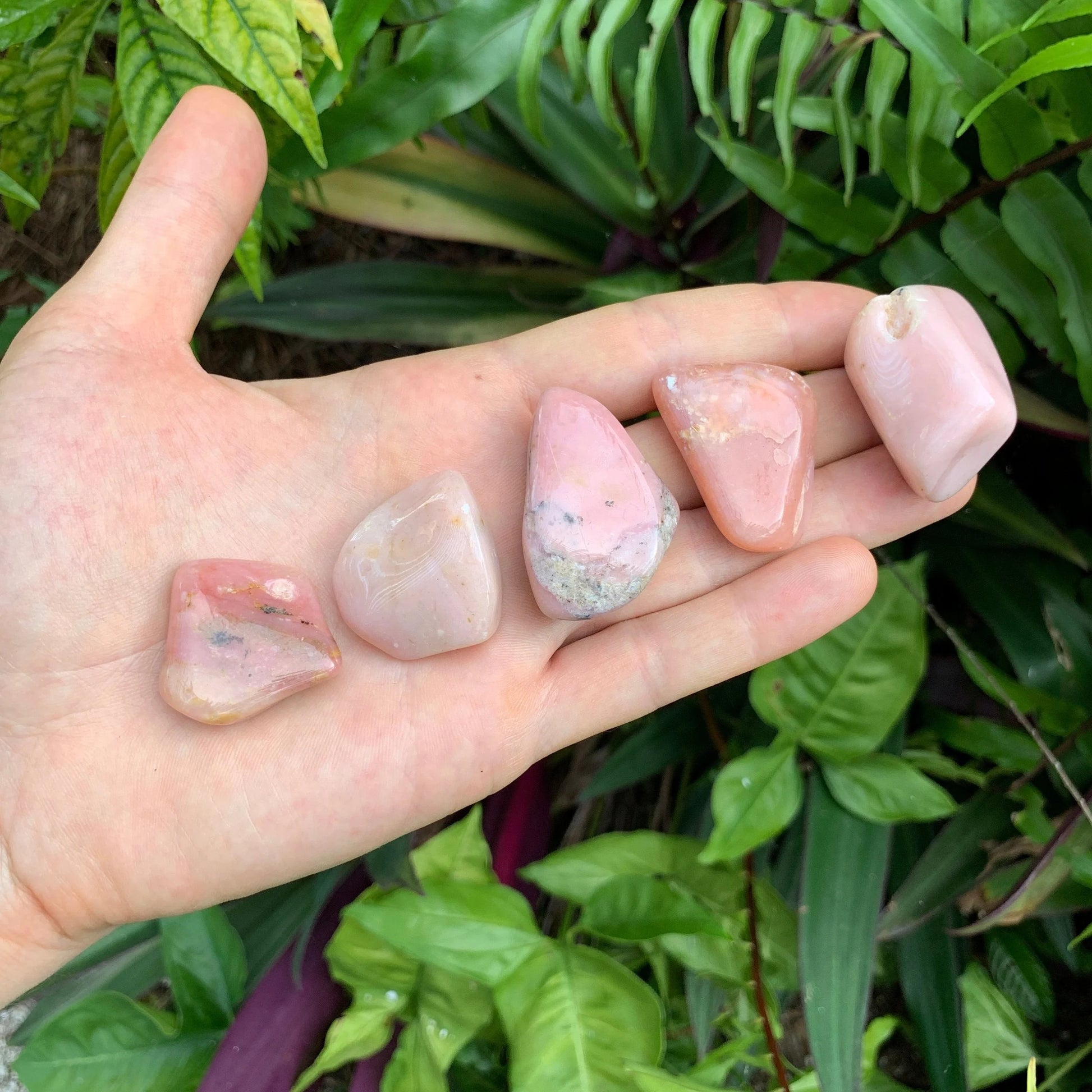 Scale reference of a Pink Opal tumbled stone held against natural backdrop, Peru-sourced.