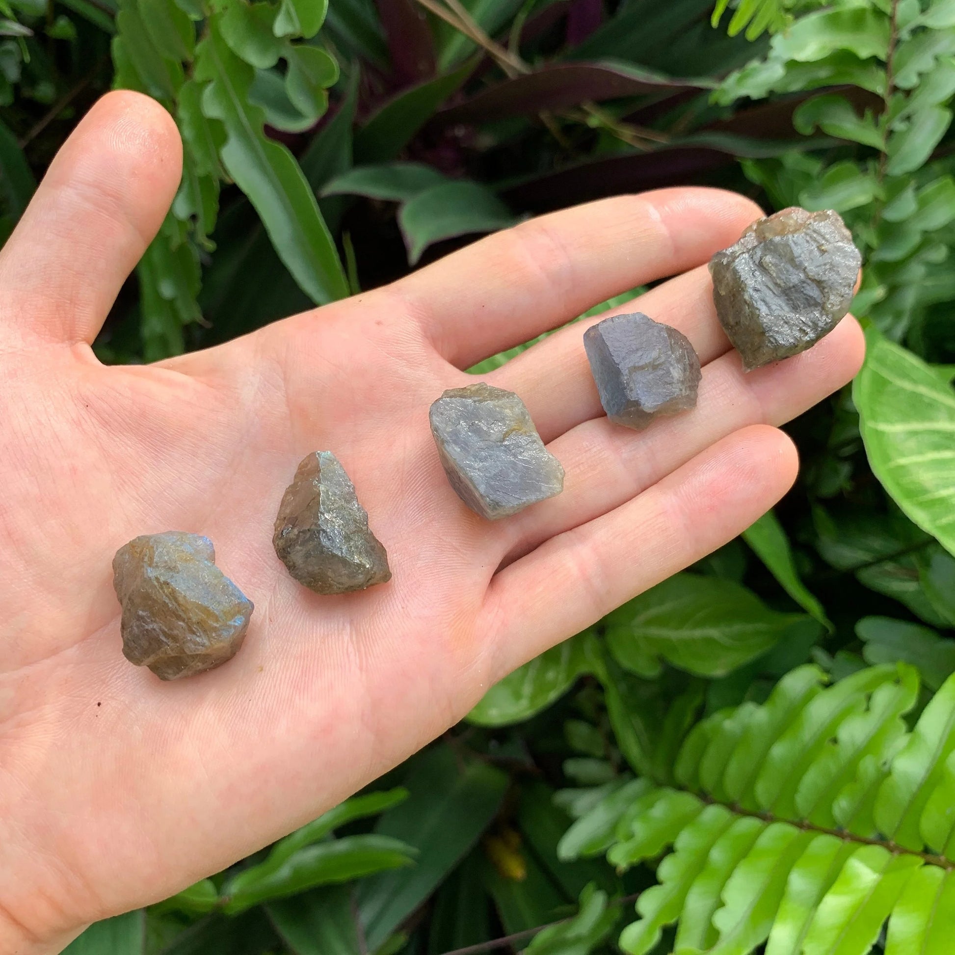 Full profile of Grade AA Labradorite raw ready to ship from Beyond Bohemian