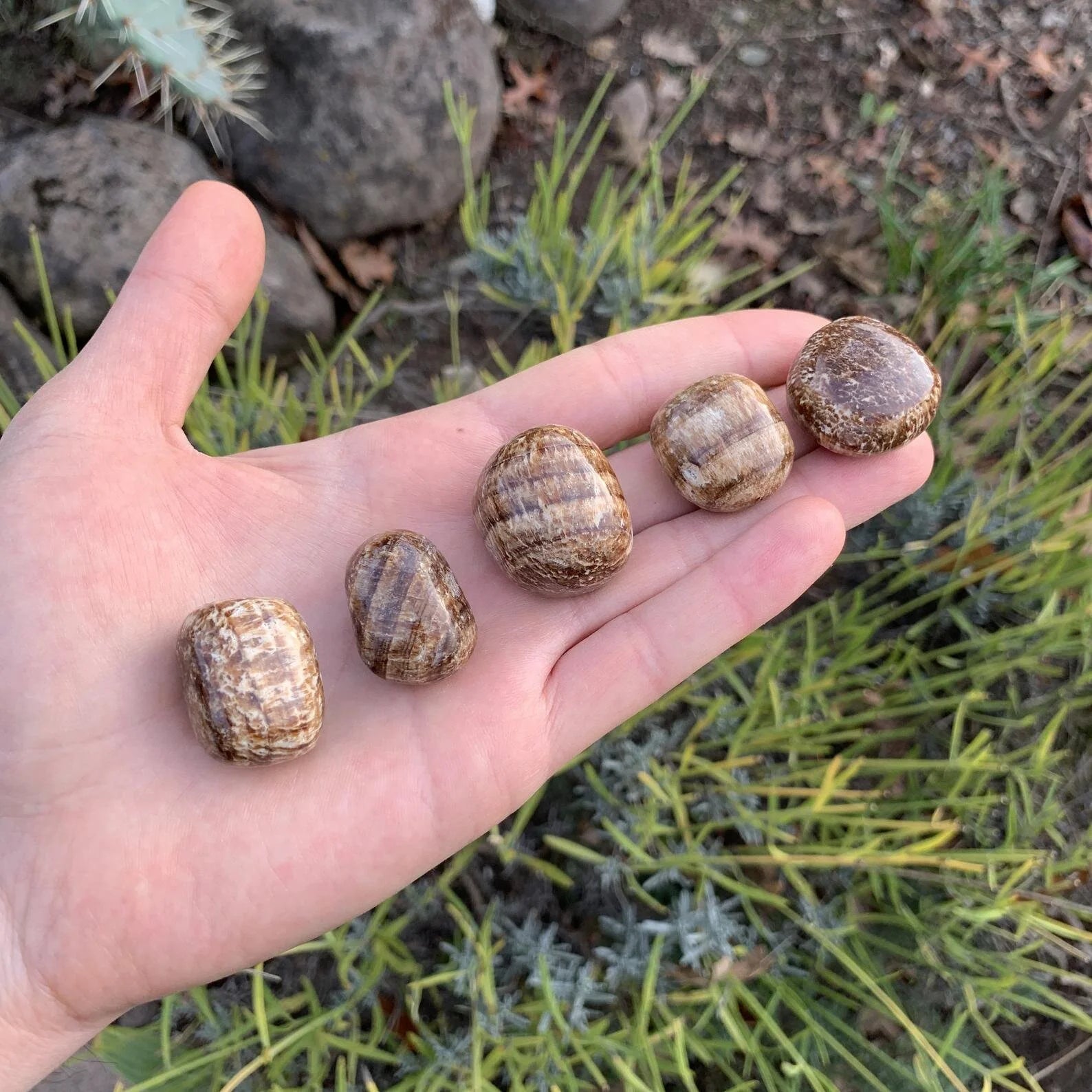 Full profile of Grade AA Brown Aragonite tumbled stone ready to ship from Beyond Bohemian